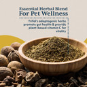 Ayush Herbs Pet Trifal Drops, Holistic Digestive Drops For Pets, Ayurvedic Formula For Healthy Digestion And Elimination, 2 Fluid Ounces