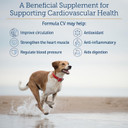 Rx Vitamins Formula Cv For Dogs & Cats - Cat And Dog Heart Health - Feline & Canine Cardiac Support - 90 Ct