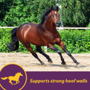 Horse Health Vita Biotin Crumbles Horse Hoof Supplement, Helps Maintain Healthy, Sound Hooves And Strong Hoof Walls, 3 Lbs., 48 Day Supply