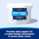Farnam Hindgut Stabilizer Pellets, Daily Digestive & Immune Supplement For Horses Helps Maintain A Balanced Microbiome For Optimal Digestion