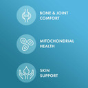 Dr. Mercola Joint Formula - Supports Joint Comfort & Mobility - From Natural Eggshell Membrane - Non-Gmo & Gluten-Free - 30 Capsules (30 Servings)