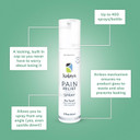 Kalaya Pain Relief Spray - Fast-Acting, Quick-Drying Muscle Rub For Joint Pain Relief And Muscle Pain - With Eucalyptus, Menthol, Methyl Salicylate, Camphor - Ideal For Easing Back Pain - 2 Oz