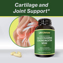 Life'S Fortune Triple Strength Glucosamax - 1000Mg Premium Glucosamine, Chondroitin And Msm Supplement With Vitamin C For Joint Comfort & Mobility, 120 Tab