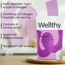 Wellthy Collagen Peptides Protein Powder - Grass Fed Hydrolyzed Collagen For Hair Growth, Skin, Nails, Gut And Joint Support - 20,000Mg Collagen & 18G Protein | Unflavored (15 Servings) Wellthy Collagen Peptides Protein Powder - Grass Fed Hydrolyzed Collagen For Hair Growth, Skin, Nails, Gut And Joint Support - 20,000Mg Collagen & 18G Protein | Unflavored (15 Servings)