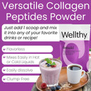 Wellthy Collagen Peptides Protein Powder - Grass Fed Hydrolyzed Collagen For Hair Growth, Skin, Nails, Gut And Joint Support - 20,000Mg Collagen & 18G Protein | Unflavored (15 Servings) Wellthy Collagen Peptides Protein Powder - Grass Fed Hydrolyzed Collagen For Hair Growth, Skin, Nails, Gut And Joint Support - 20,000Mg Collagen & 18G Protein | Unflavored (15 Servings)
