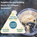 Advanced Vegan Vanilla Collagen Peptide Powder, Enhanced With Glycine, Proline & Hydroxyproline & Cofactor Vitamin C, Non Gmo, Vegetarian Plant Based Collagen Powder Booster, 140 Servings, By Igennus