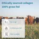 Igennus Highest Grade Hydrolyzed Collagen Peptides, Clean Label, 100% Grass Fed Bovine Collagen Protein Powder, For Collagen Types 1, 2 & 3 For Women & Men, Non-Gmo, Free Range, 40 Servings