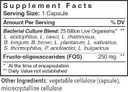Patient One Flora Maintenance | Probiotic Supplement To Aid Balanced Intestinal Flora* | 25 Billion Cfu, 10 Probiotic Strains, Prebiotic | 60 Capsules