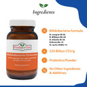 Bifido Formula 320 Billion Cfu'S | Made In Usa | Digestive & Immune Support | May Help Leaky Gut Repair | 60 Grams (2.11 Oz)