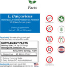 Lactobacillus Bulgaricus Probiotic Powder 50 Billion Cfu'S | Made In Usa | No Additives | Digestive & Immune Support | High Potency | L. Bulgaricus | 30 Grams (1.05 Oz)