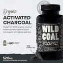 Wild Foods Activated Charcoal Capsules | 100% Organic Coconut Shells Active Tablets For Bloating & Hangover | Lab Tested & Non-Gmo Detox Pills | Made In Usa (120 Capsules)