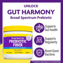 Innovixlabs Prebiotic Fiber Powder For Gut & Digestive Health, High Fiber Supplement For Women And Men With Chicory Root, Fos, Acacia, Inulin, Soluble & Insoluble Fiber, No Added Sugar, 30-Day Supply