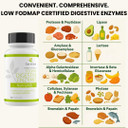 Fodmap Digestive Enzymes, No High Inulin, Keto Carnivore Intolerance Support, 18 Multi Enzyme Amylase Bromelain Lipase Lactase Protease Papain Alpha Galactosidase, More - No Gmo