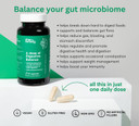 A Dose Of Digestive Balance-Gut Health Supplement-Usda-Kombucha, 7 Probiotic Strains And Prebiotics For Microbiome-Digestive Enzymes For Digestion-Bloating Relief For Women And Men