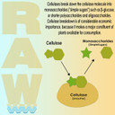 Raw Enzymes 2Oz - Potent Plant Enzyme Blend For Enhanced Nutrient Uptake And Healthy Root Development