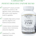 Caprazyme By Mt. Capra | Vegetarian Digestive Enzyme Supplement For Men And Women, Amylase, Lipase, Bromelain, Protease, With Botanical Blend Grapefruit, Ginger, And Turmeric | 90 Capsules