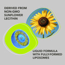 Amandean Liposomal Glutathione Supplement. Liquid Reduced Setria 500Mg. Immune Support, Brain Health, Liver Detox, Skin Health. Phosphatidylcholine From Non-Gmo Sunflower Lecithin. Soy-Free & Vegan
