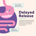 Doctor'S Recipes Probiotics For Women, Organic Prebiotics And Probiotics For Digestive Health, Vaginal Health, 70 Billion Cfu, 10 Strains, Shelf Stable, 30 Capsules