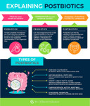 Dr. OhhiraS Probiotics Professional Formula With 5 Year Fermented Prebiotics, Live Active Probiotics And The Only Product With Postbiotic Metabolites, 60 Capsules