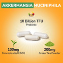 Akkermansia Probiotic 10 Billion Tfu, With Concentrated Egcg From Green Tea Extract, Glp-1 Supplement For Gut Health, Metabolism Support & Sustain Energy Levels, 30 Vegan Capsules, No Gluten