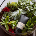 C.O. Bigelow Iconic Collection Musk Hand Cream, 2 Fl Oz