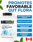 Renew Actives Probiotic Supplement For Digestive Health 60 Billion Cfu Per 2 Capsules - Advanced Formula With Prebiotic Benefits - Supports Gut Flora Balance & Wellness - Made In Canada - 60 Capsules