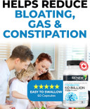 Renew Actives Probiotic Supplement For Digestive Health 60 Billion Cfu Per 2 Capsules - Advanced Formula With Prebiotic Benefits - Supports Gut Flora Balance & Wellness - Made In Canada - 60 Capsules