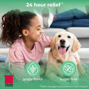 Taro Children'S Allergy Medicine, Sugar Free Grape Flavor, Cetirizine Kids Antihistamine Oral Solution Syrup For Indoor & Outdoor Allergy Relief, 24-Hour Symptom Relief, 4 Fl Oz