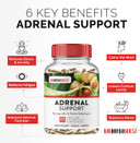 Adrenal Support Supplement [1300Mg Non-Gmo] Natural Focus Clarity Energy & Fatigue Relief For Balanced Cortisol Levels With Ashwagandha & Adaptogens 60 Capsules