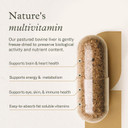 Enviromedica Grass Fed Beef Liver Capsules - Freeze Dried Liver Supplement For Men & Women With Preformed Vitamin A, Pastured & Grassfed New Zealand Bovine Beef Organ Meat,180 Pills