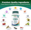 Daily Thyroid Boost Advanced Formula With Iodine Ashwagandha Vitamin B12 Zinc And Selenium For Energy Metabolism And Focus 60 Capsules