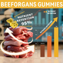 Beef Organ Supplement For Women:Grass Fed Beef Organ Gummies Supplement, Wellness With Liver Heart Kidney Pancreas Spleen Supports Women'S Overall Energy And Health Non-Gmo(60 Gummies)