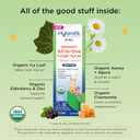 Hyland'S Kids Cold And Cough, Nighttime Cough Syrup Medicine For Kids Ages 2 And Up, Decongestant, Sore Throat Relief And Sleeplessness, Relief Of Common Cold Symptoms, 4 Fl Oz