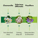 The Relief Products Pm Earache Relief - 100% Natural Active Ingredients - Nighttime Formula To Soothe Ear Discomfort - Ear Drops 0.33 Fl Oz