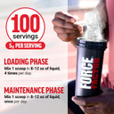 Force Factor Creatine Monohydrate Powder, 5G Micronized Dose To Support Muscle Growth, Strength, Recovery, Cognitive Health & Memory, Unflavored, 200 Servings