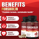 Organic Cadane Forskolin Supplement With Coenzyme Q10 & Grape Seed Extract | Supports Body Management & Energy | Vegan, Non-Gmo  90 Capsules  45-Day Supply