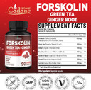 Organic Cadane Forskolin Supplement With Green Tea, Ginger, Dandelion, Cayenne, Fennel, And Licorice| Body Management & Energy Support | Vegan, Non-Gmo  90 Capsules  45-Day Supply