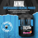 Animal Supercharged Creatine Powder - Flavored Creatine Monohydrate Enhanced With Betaine Anhydrous, Purpleforce & Senactiv, Strength, Endurance, Muscle Recovery For Men And Women  Fruit Punch, 300G