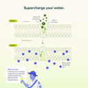 Cheers Hydrate | Oral Rehydration Solution | Electrolytes For Rapid Hydration | Lemon Lime Flavor | 12 Servings | Electrolyte Supplement With Sodium, Potassium, Glucose