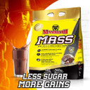 Mammoth Mass, Chocolate 15Lb