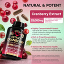 Cranberry Pills For Women 500 Mg - Clinically Tested Strength For Urinary Tract Health Support - Equivalent To 25,000 Mg Of Fresh Cranberry Supplement - Natural & Vegan - Made In Usa - 120 Capsules