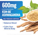 Force Factor Amazing Ashwa Complete Calm Support With Ksm-66 Ashwagandha, Like Ashwangandha Gummies To Promote Calm & Relaxation With Magnesium & L-Theanine, Blueberry Pomegranate, 60 Soft Chews