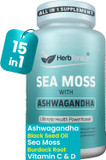 Herbtonics Sea Moss, Black Seed Oil, Ashwagandha, Burdock Root & Acv Complex | Boost Immunity, Reduce Stress, Support Digestion | All-In-One Seamoss Capsules | 60 Capsules