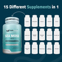 Herbtonics Sea Moss, Black Seed Oil, Ashwagandha, Burdock Root & Acv Complex | Boost Immunity, Reduce Stress, Support Digestion | All-In-One Seamoss Capsules | 60 Capsules