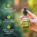 Banyan Botanicals I Travel Well Liquid Extract  Organic Fast-Acting Immune Support For Travel  With Ashwagandha And Ginger  1 Fl. Oz.  Non Gmo Sustainably Sourced Vegan