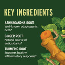 Banyan Botanicals I Travel Well Liquid Extract  Organic Fast-Acting Immune Support For Travel  With Ashwagandha And Ginger  1 Fl. Oz.  Non Gmo Sustainably Sourced Vegan