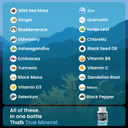 Sea Moss, Maca, Black Seed Oil, Ashwagandha, Bladderwrack, Turmeric - Elderberry, Vitamins C & D3, Dandelion & Black Pepper - Made In Usa- 120Ct