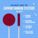 Immuniteez Organic Elderberry Lollipops For Kids - Immune Support With Vitamin C, D, E, Zinc And Organic Honey - Gluten Free Kids Vitamins - 10 Count Bag