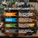 Sirunes Immune Booster - Immunity Support Multivitamin - Vitamin C And D3, Elderberry, Zinc, Echinacea, Ginger, Turmeric - Antioxidant, Energy And Vigor, Brain Boost (Immune Support Capsules)