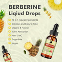 Berberine Hcl Supplement With Ceylon Cinnamon - Liposomal Berberine Phytosome Liquid Drops With Turmeric, Ceylon Cinnamon, Bitter Melon, Milk Thistle, Ampk Activator For Digestion Support